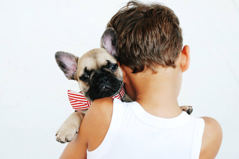 Adopt