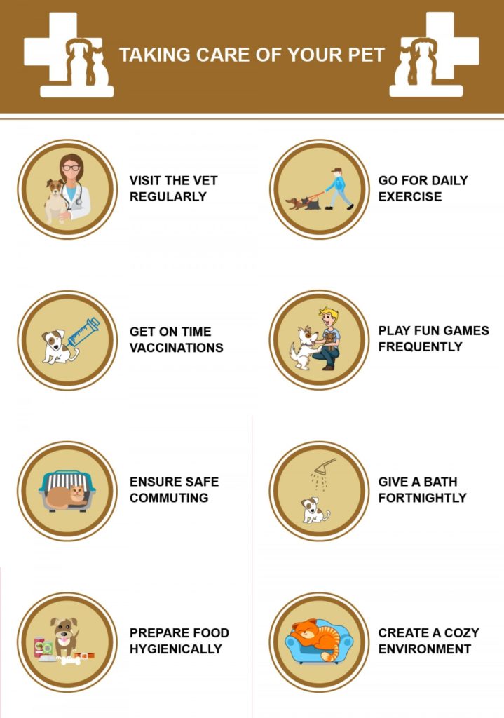 Taking Care of Your Pet