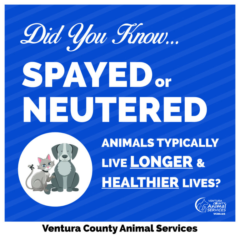 Spayed or Neutered Animals Typically Live Longer and Healthier Lives
