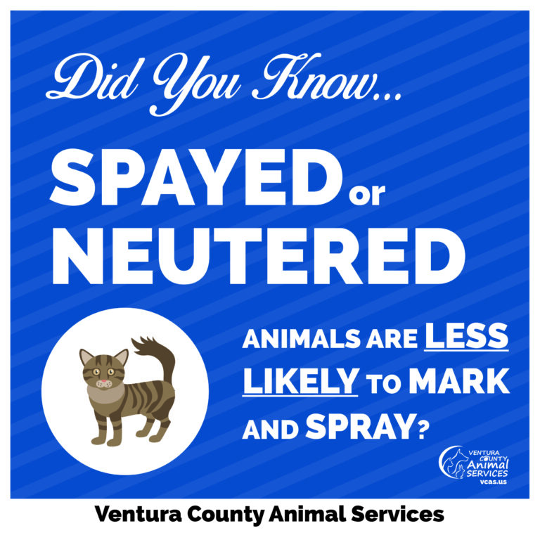 Spayed or Neutered Animals are Less Likely to Mark and SPRAY