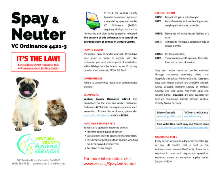 Spay & Neuter Brochure ENGLISH