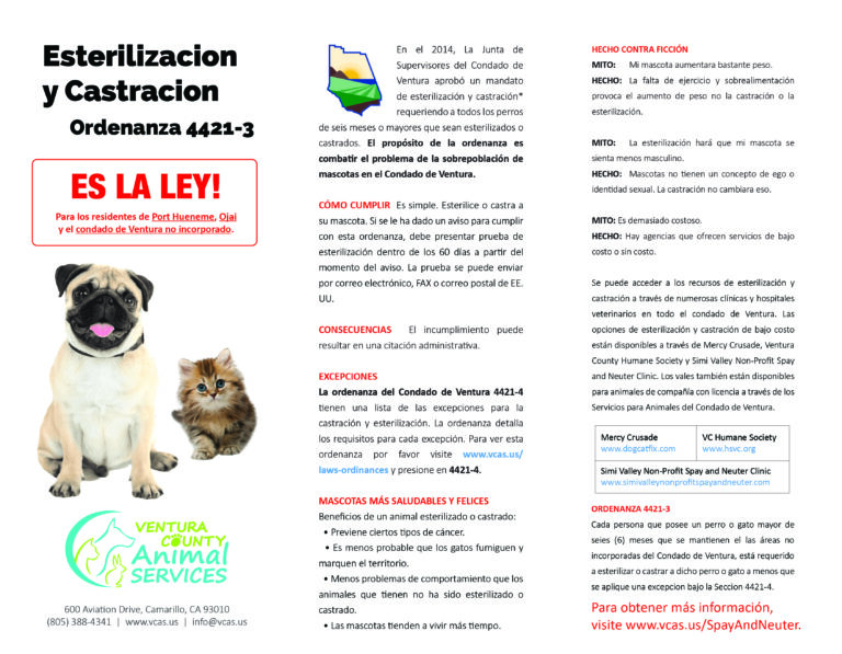 Esterilizacion y Castracion Brochure