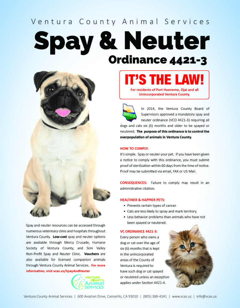 Spay & Neuter Flyer ENGLISH