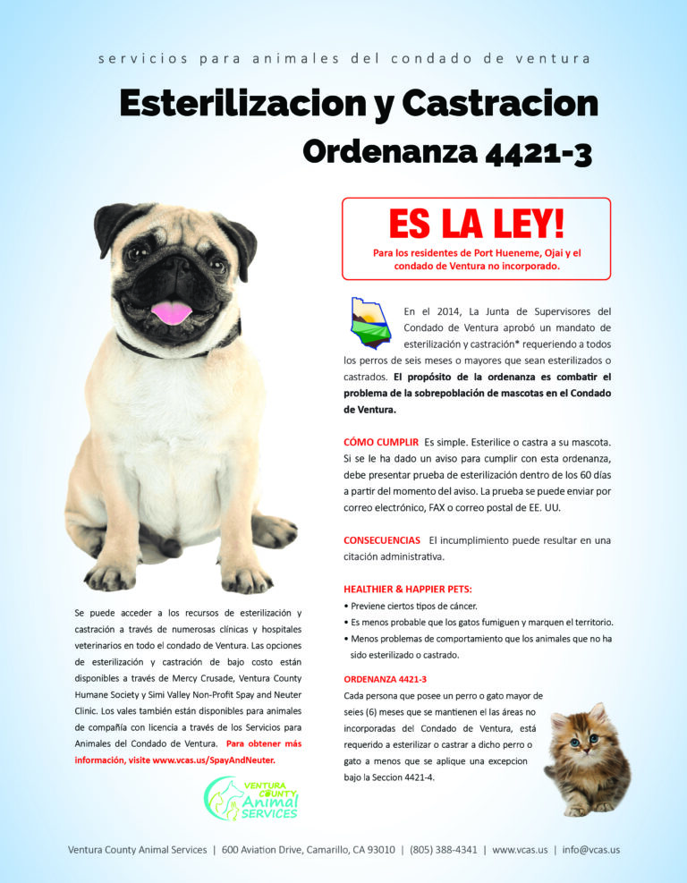 Esterilizacion y Castracion Flyer
