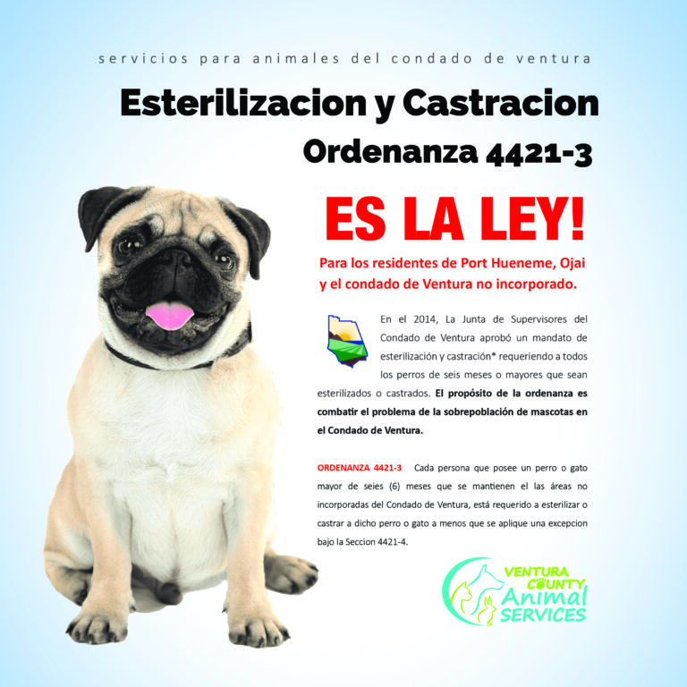 Esterilizacion y Castracion Instagram Format