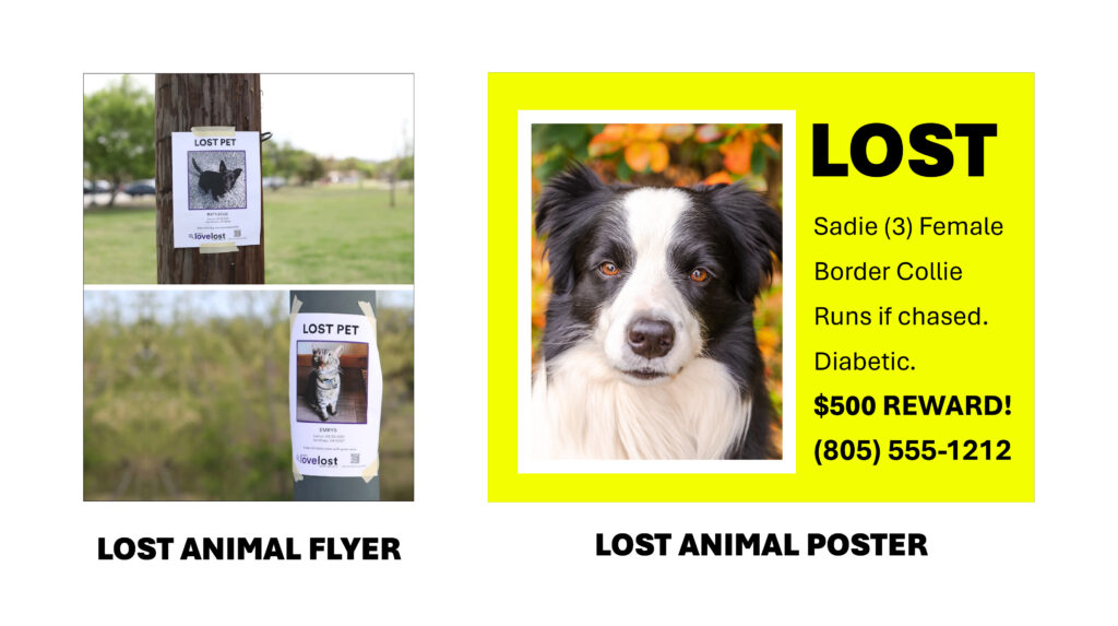 Lost Animal Flyer and Poster Examples