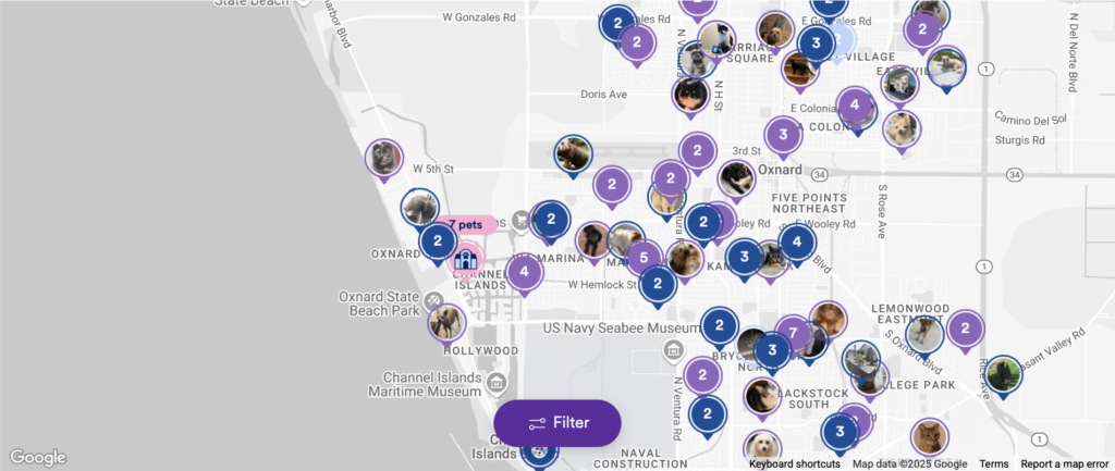 Lost & Found Map